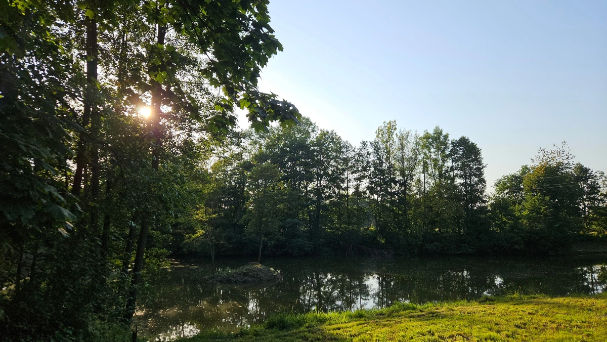 Wieczorny klimat nad stawem