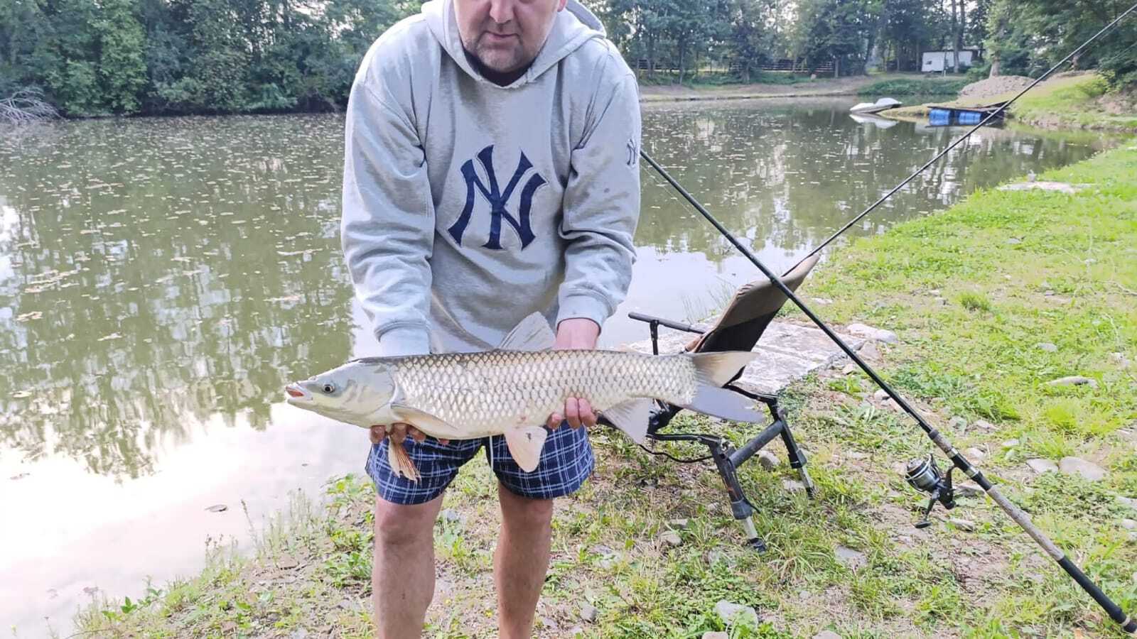 Hol karpia w Jasienicy